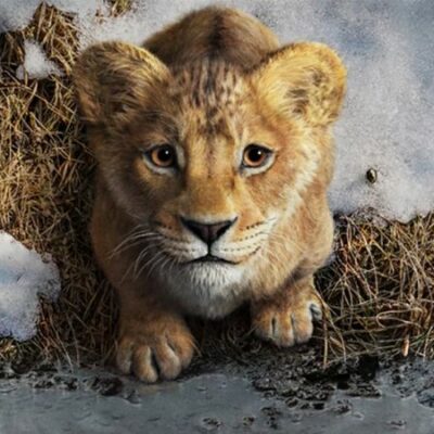 Mufasa: The Lion King OTT Release Date and Platform Information