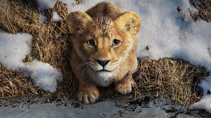 Mufasa: The Lion King OTT Release Date and Platform Information